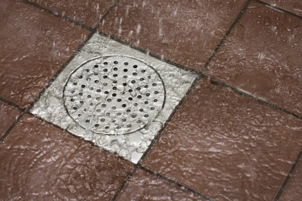 Qué Hacer Si El Agua Vuelve Por El Desagüe De La Ducha