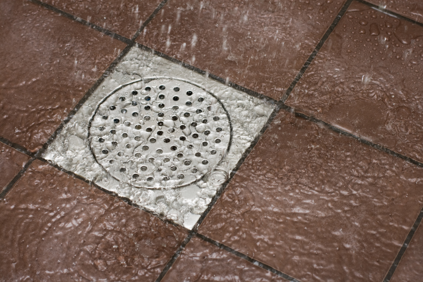 Qué Hacer Si El Agua Vuelve Por El Desagüe De La Ducha