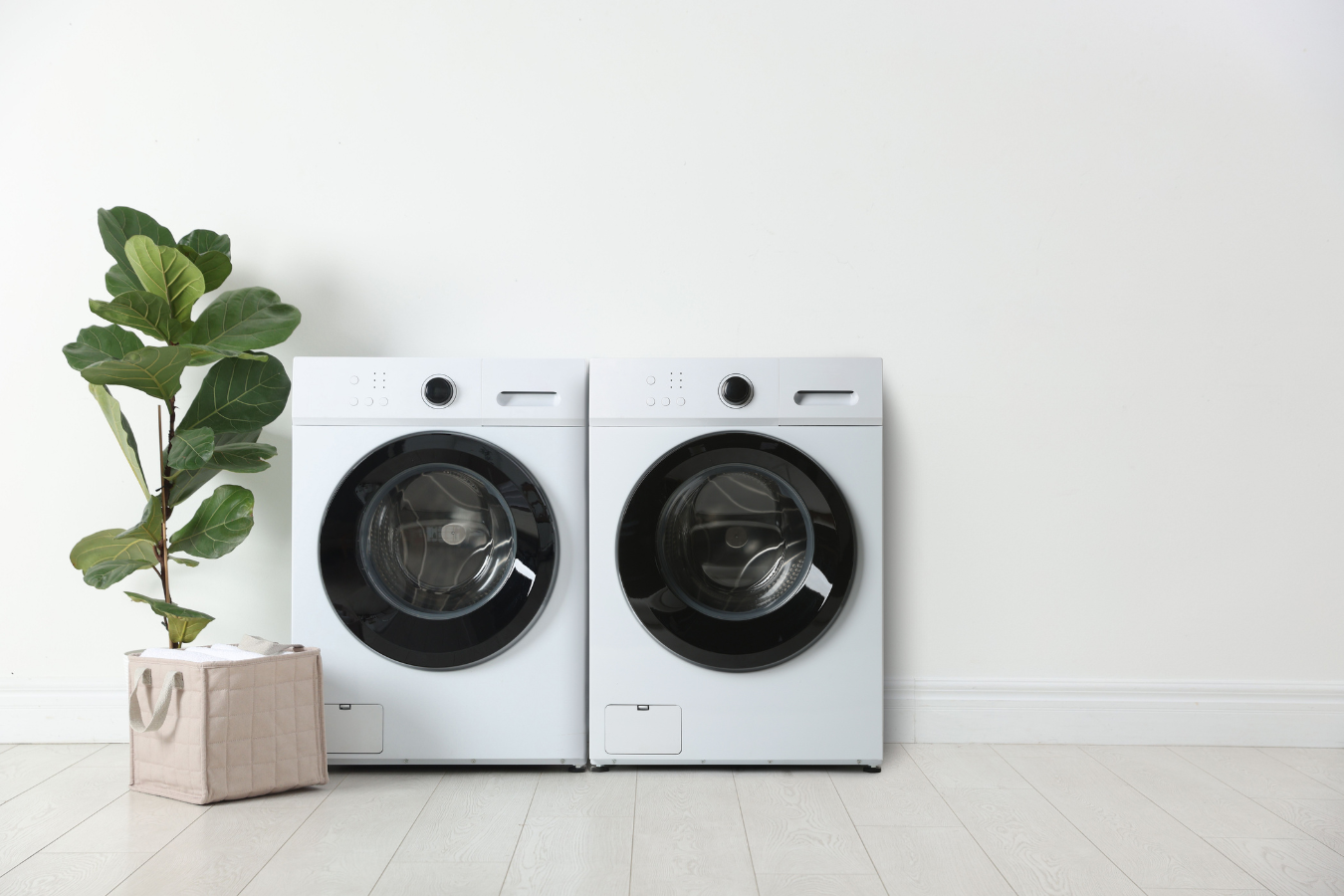 Cómo Prevenir Atascos En Lavaderos Y Zonas De Lavado
