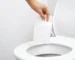 Qué Residuos Nunca Deberías Tirar Por El Wc